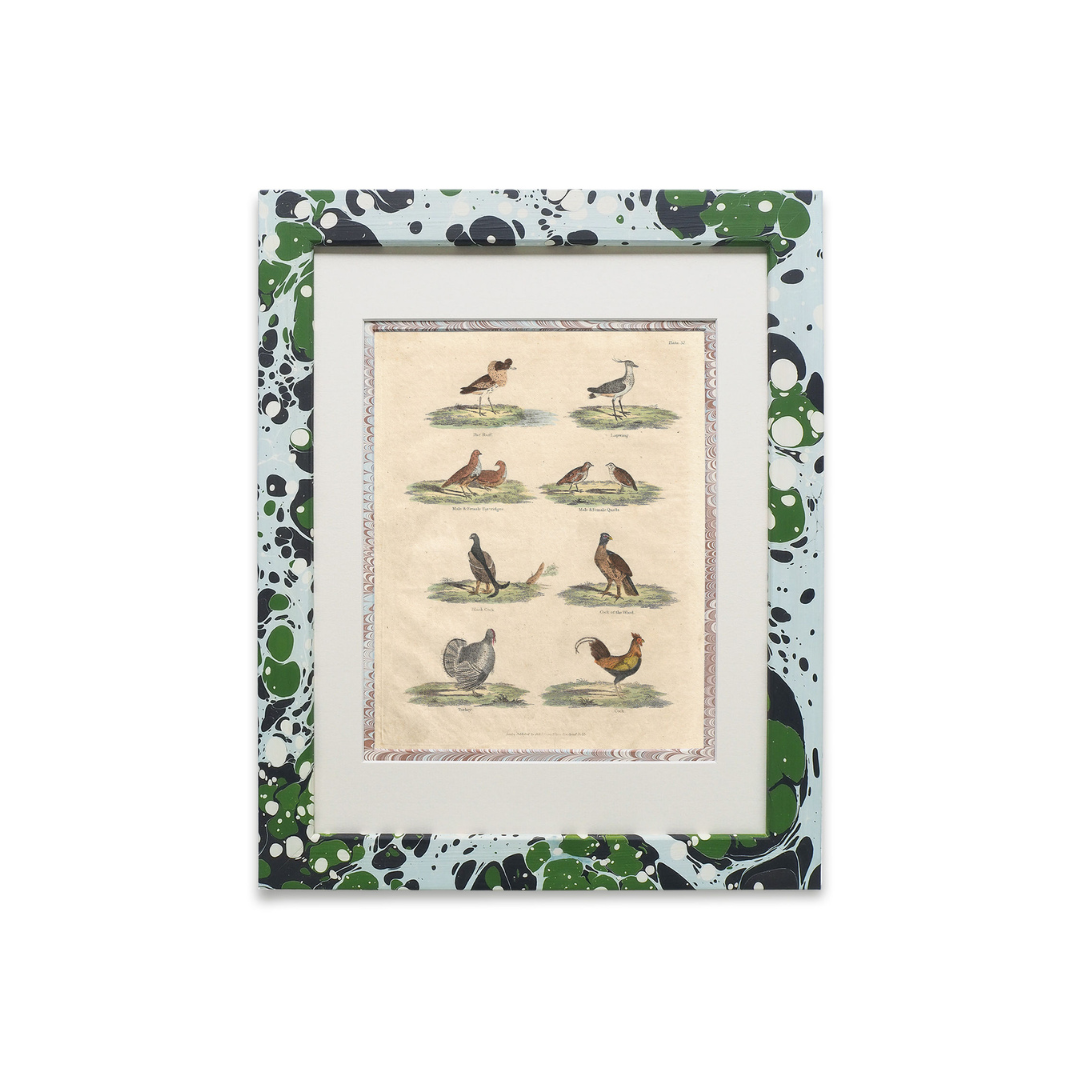 Buffon No.52 Glacier Framed Print