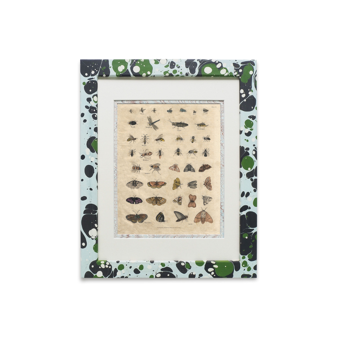 Buffon No.51 Glacier Framed Print