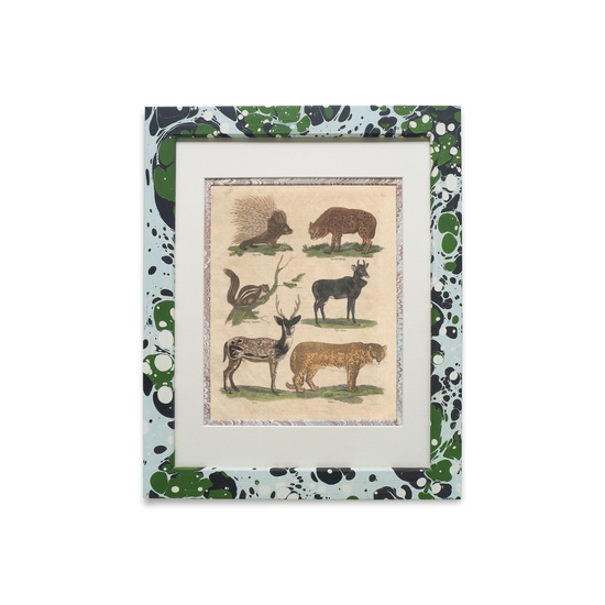 Buffon No.3 Glacier Framed Print