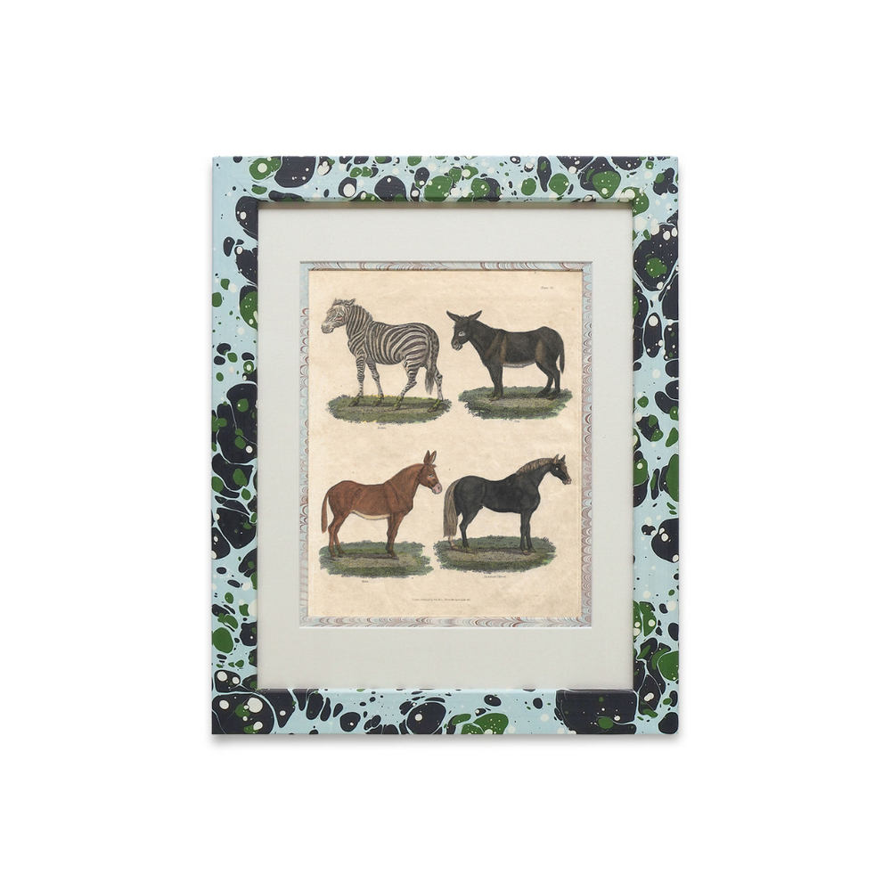 Buffon No.13 Glacier Framed Print