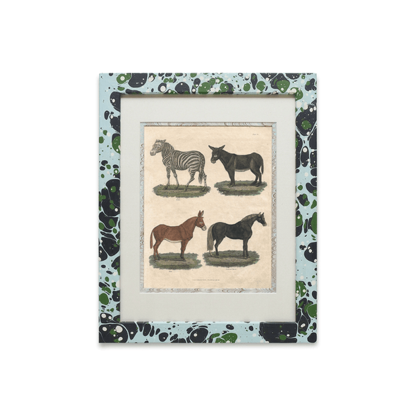 Buffon No.13 Glacier Framed Print