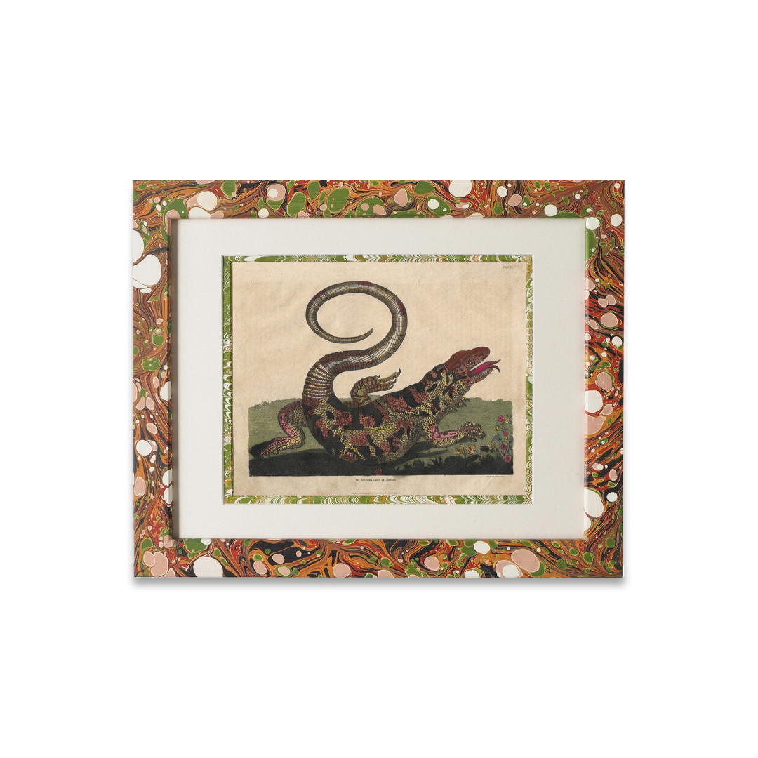 Buffon No.14 Igneus Framed Print