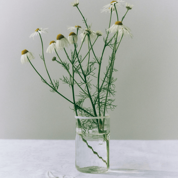 Peter Glass White Small