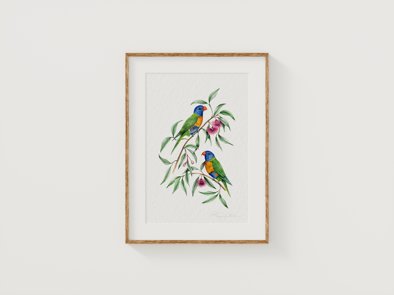 Rainbow Lorikeet Birds Fine Art Print