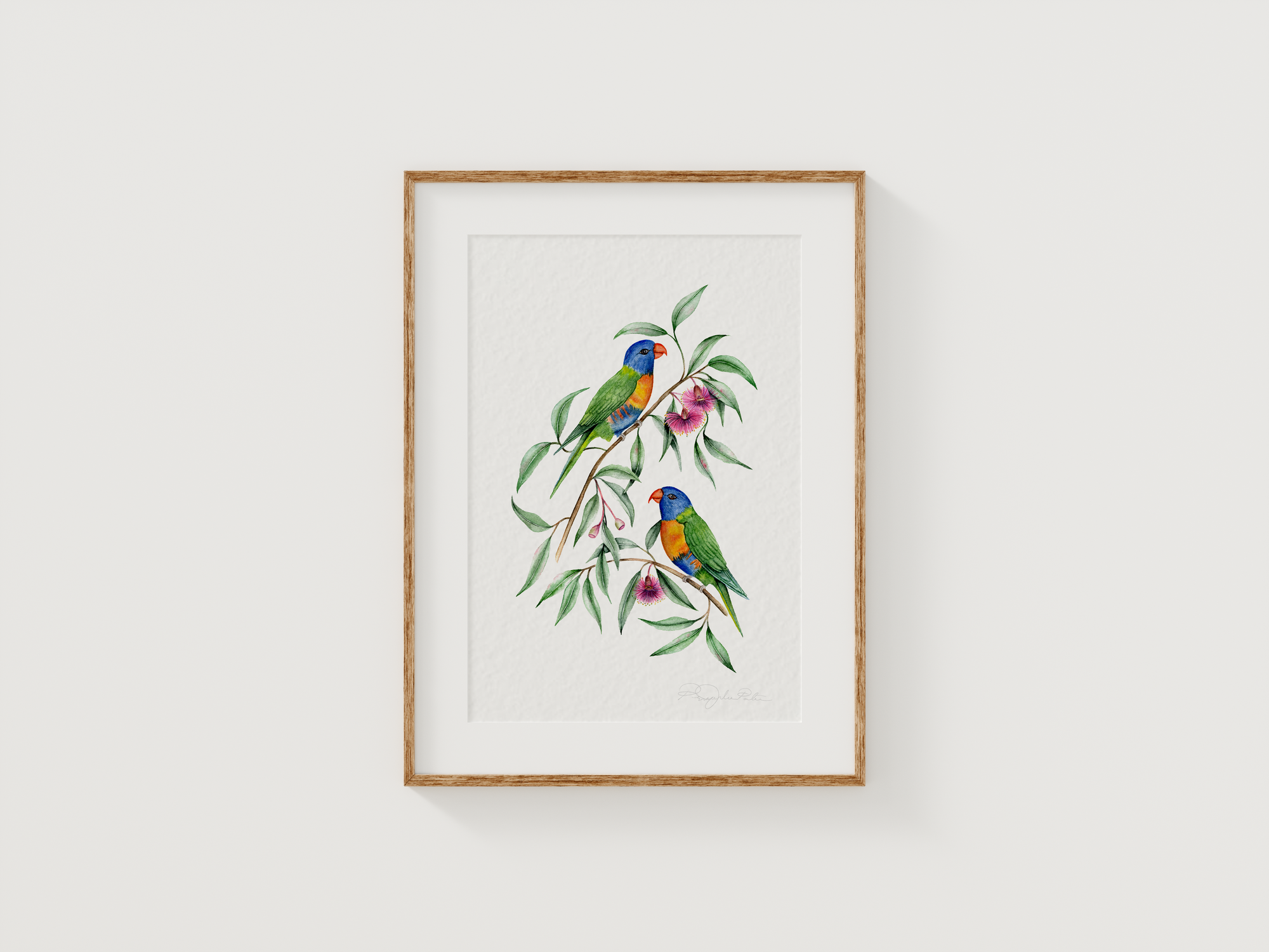 Rainbow Lorikeet Birds Fine Art Print