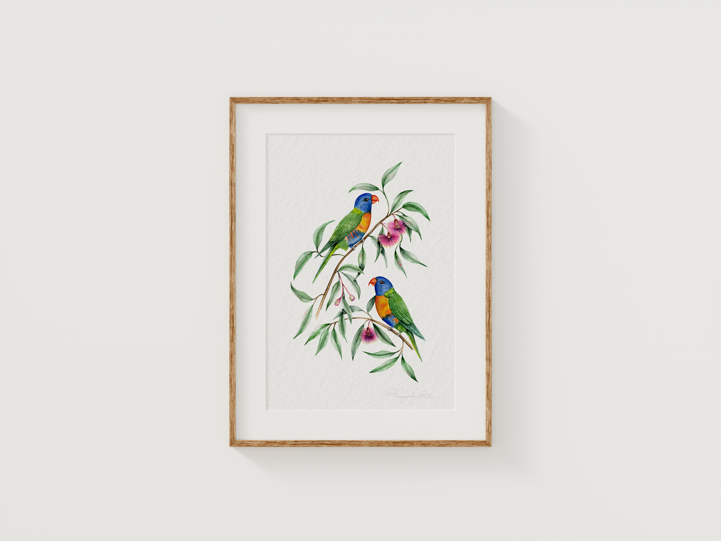 Rainbow Lorikeet Birds Fine Art Print