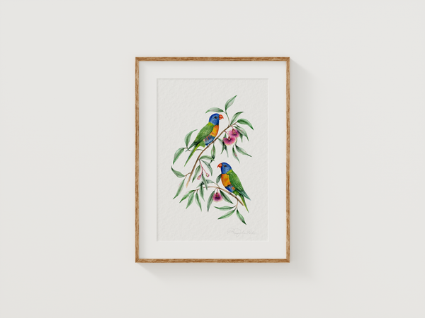 Rainbow Lorikeet Birds Fine Art Print