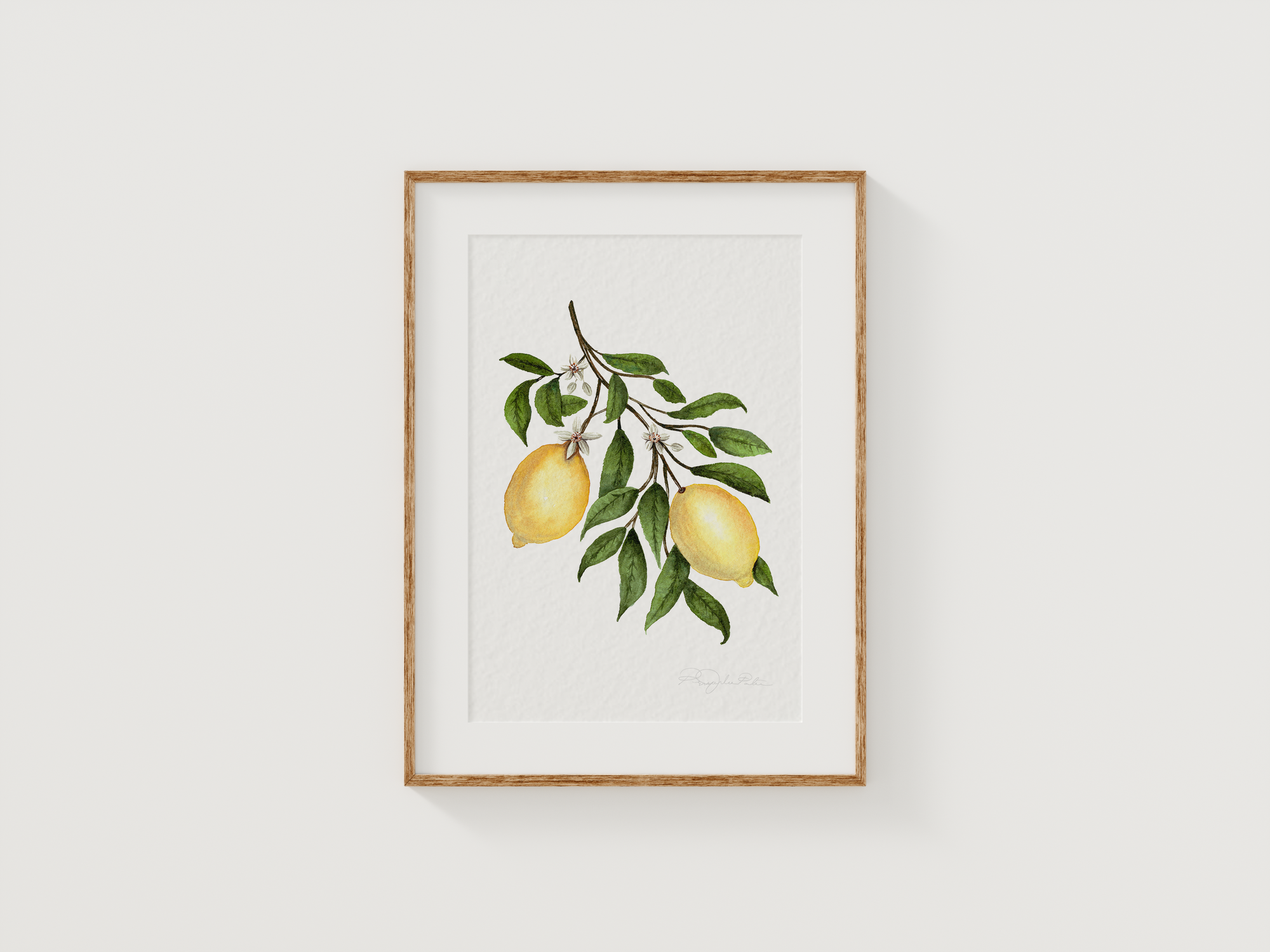 Lemon Blossom Fine Art Print