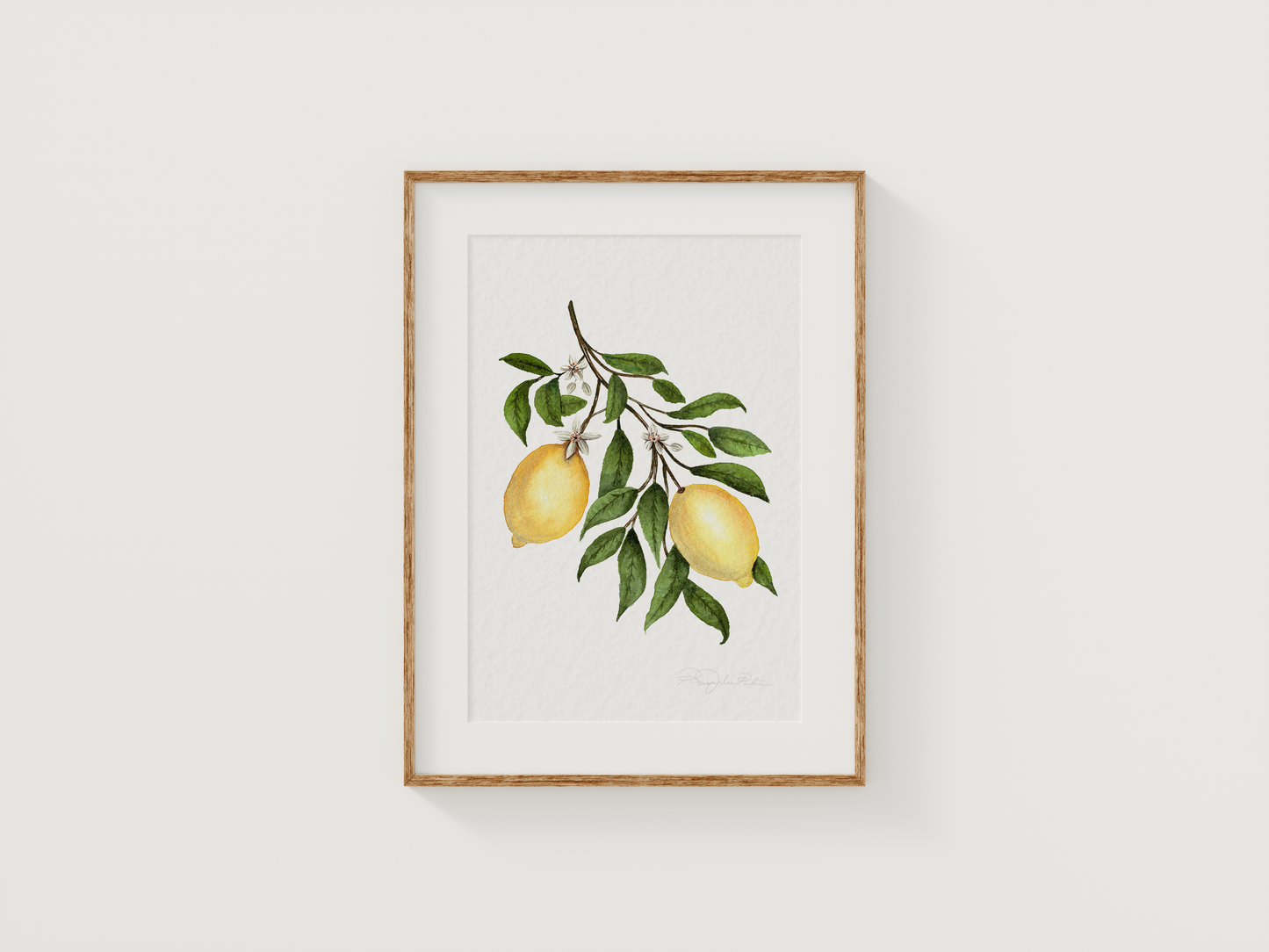 Lemon Blossom Fine Art Print