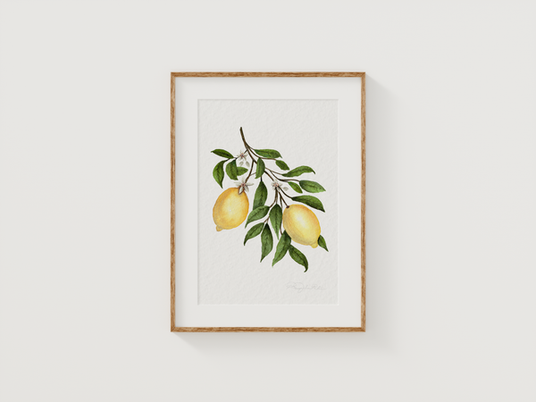 Lemon Blossom Fine Art Print