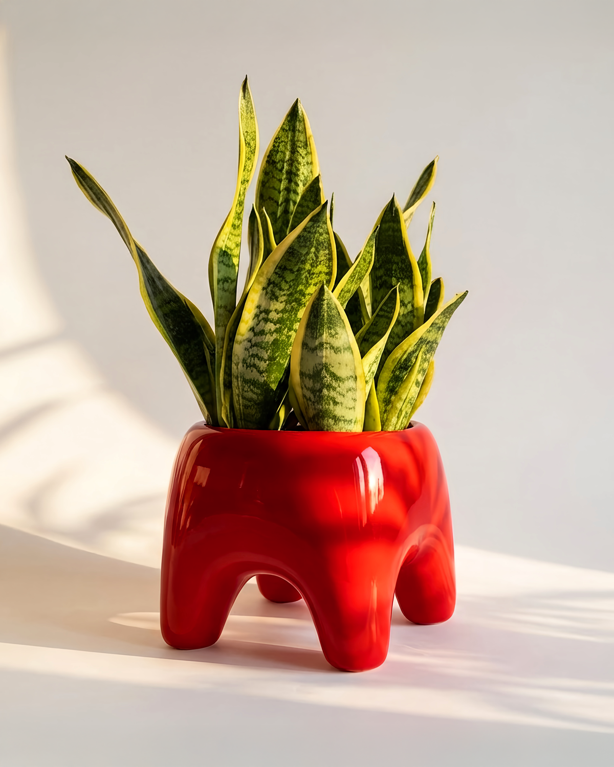 BUDDY Planter in Poppy Red