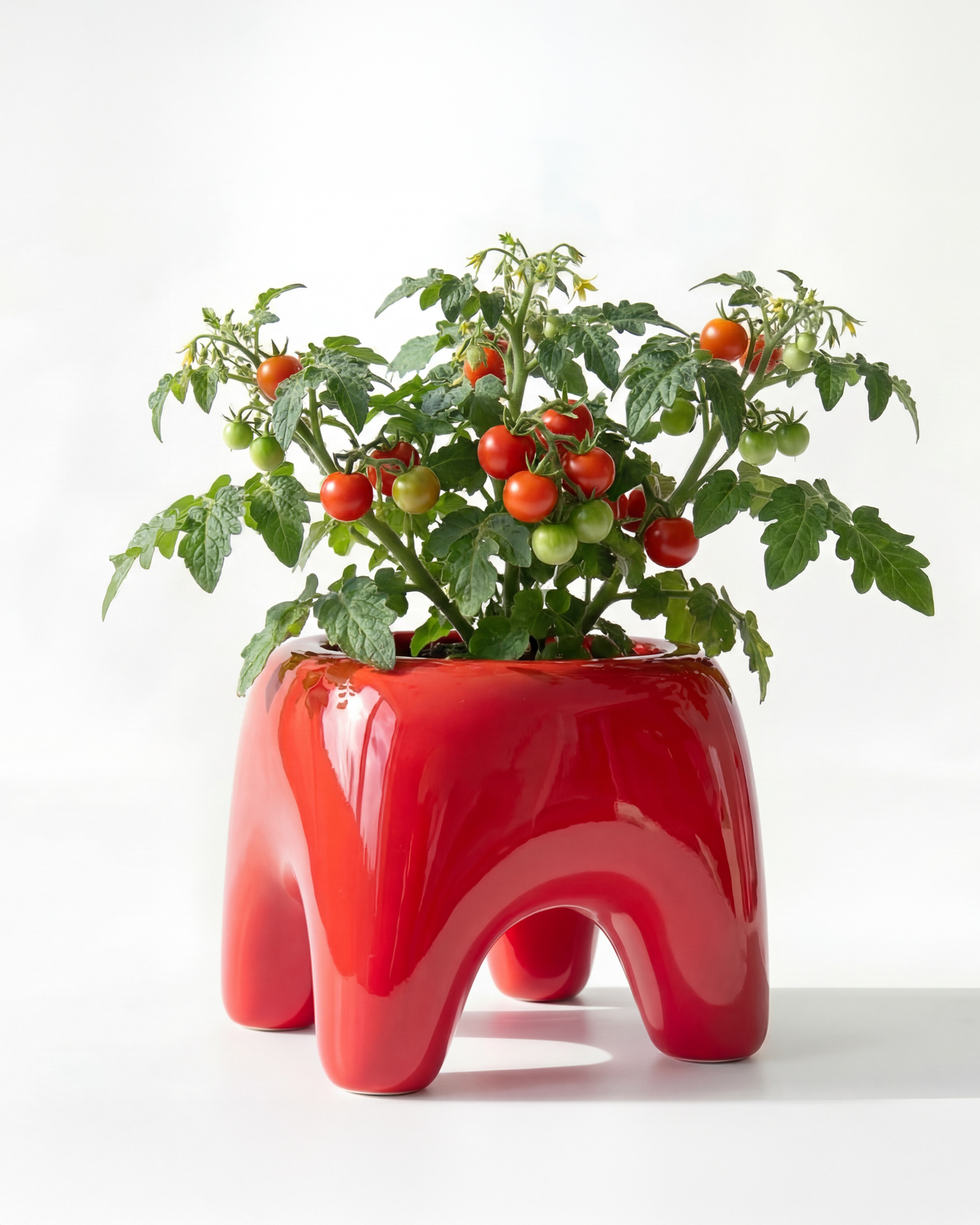 BUDDY Planter in Poppy Red