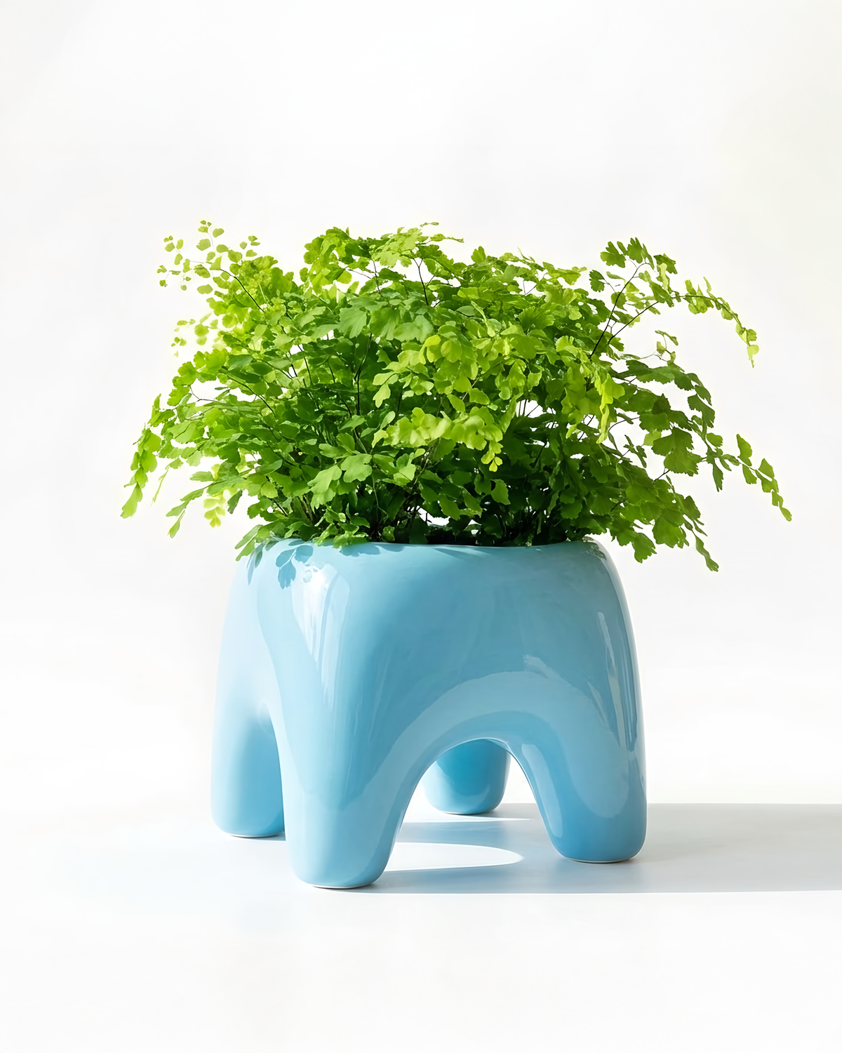 BUDDY Planter in Sky Blue