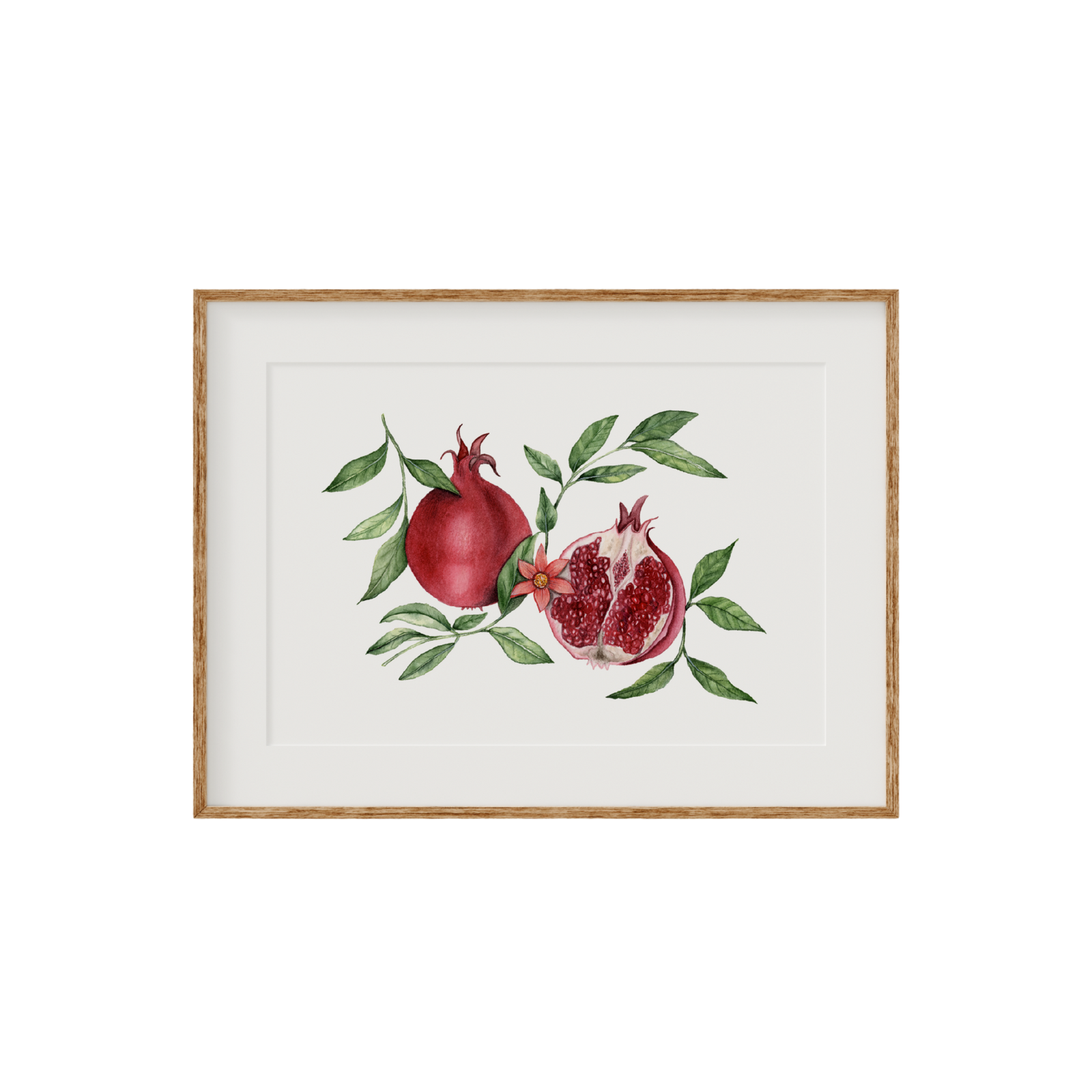 Pomegranate Fine Art Print