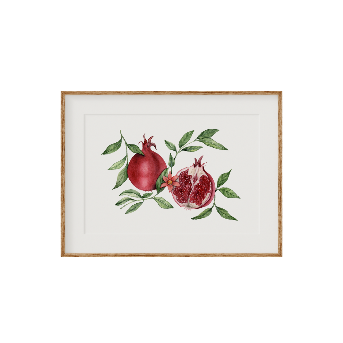 Pomegranate Fine Art Print