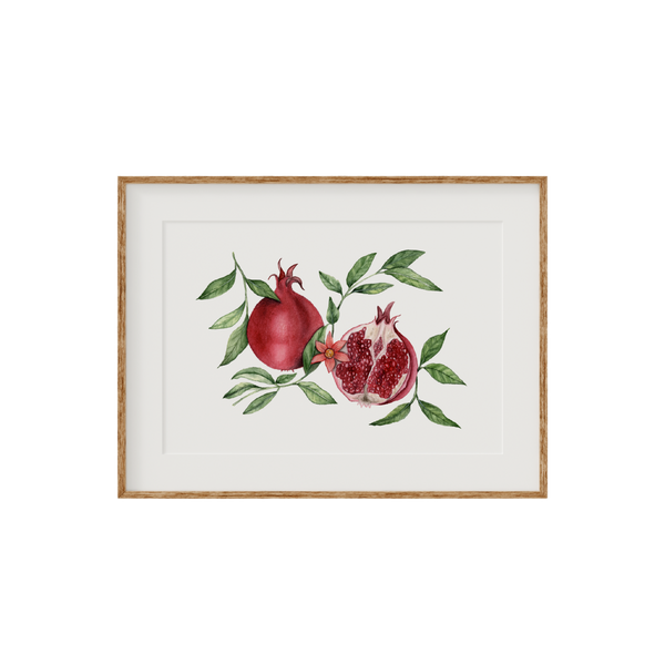 Pomegranate Fine Art Print