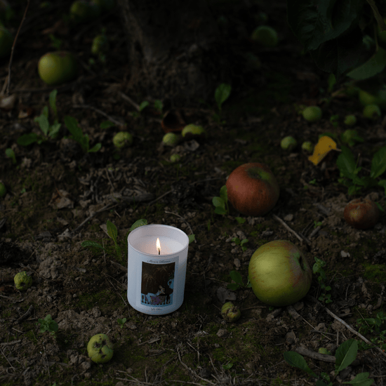 Le Feu - Elemental Candle Collection