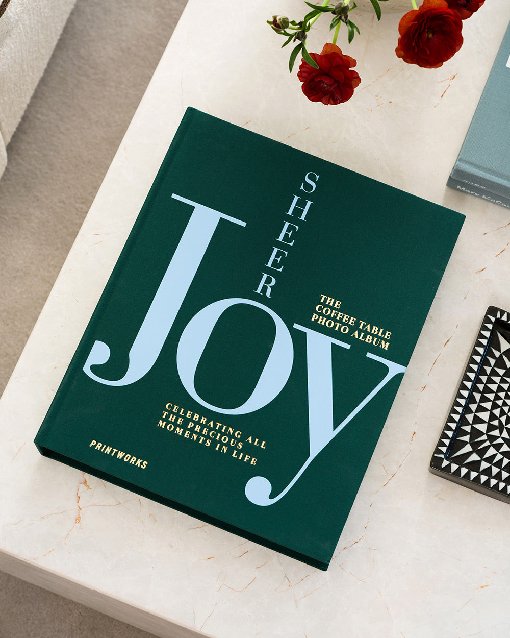 Photo Album - Sheer Joy