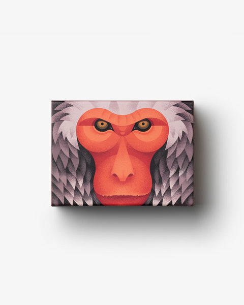 Puzzle - Japanese Macaque