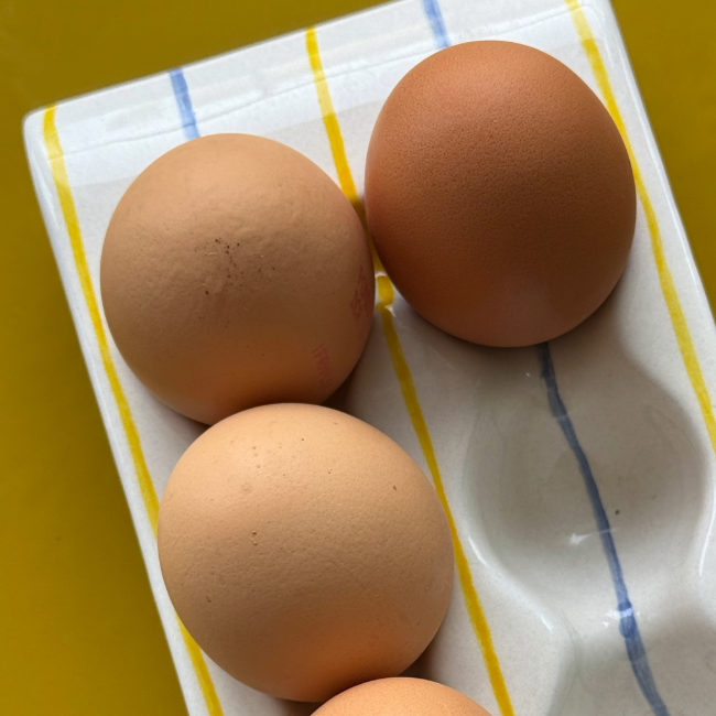 Yellow Striped Egg Box
