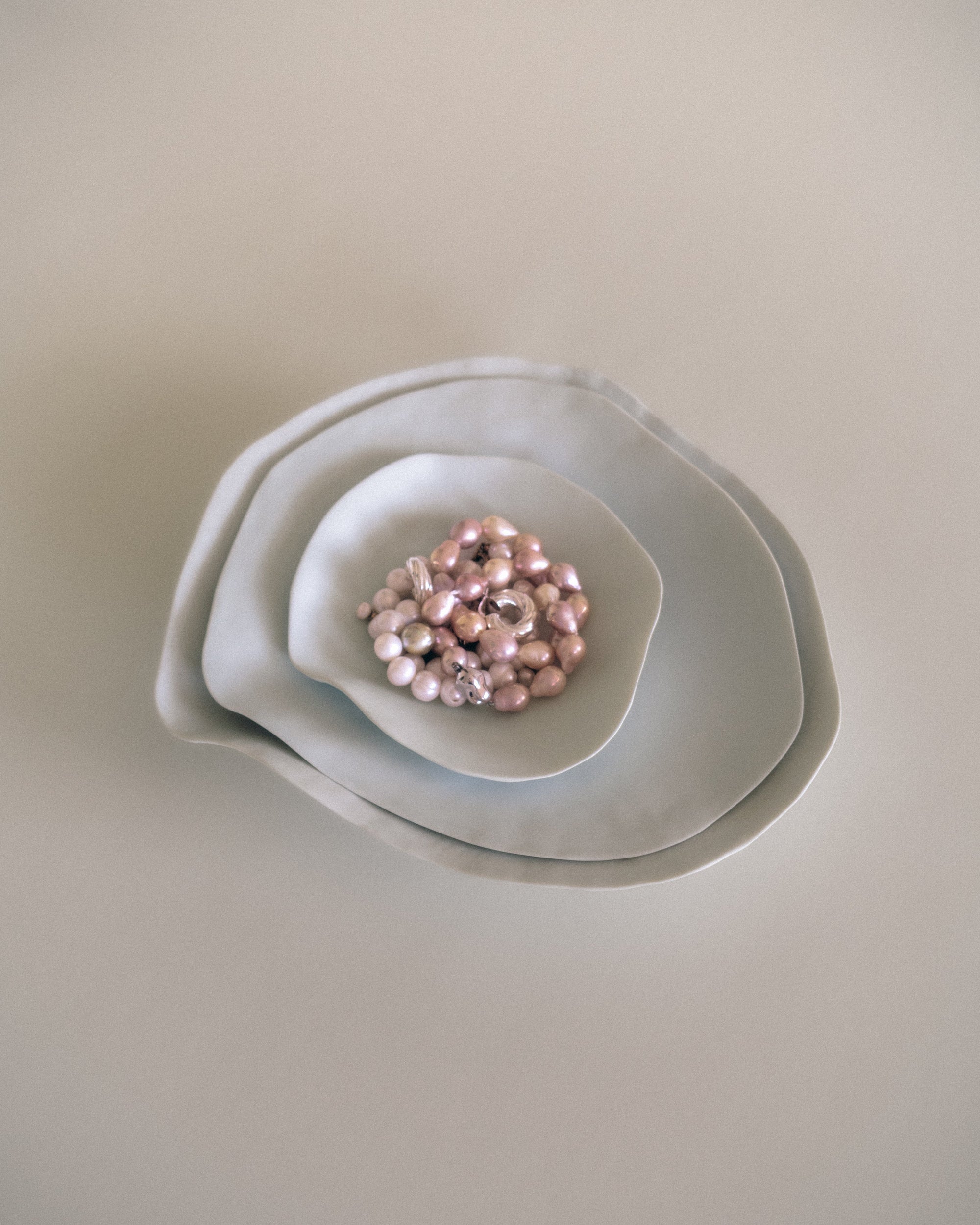 Set of 2 Large Dinner Plates / Indulge Nº6 / White Matte