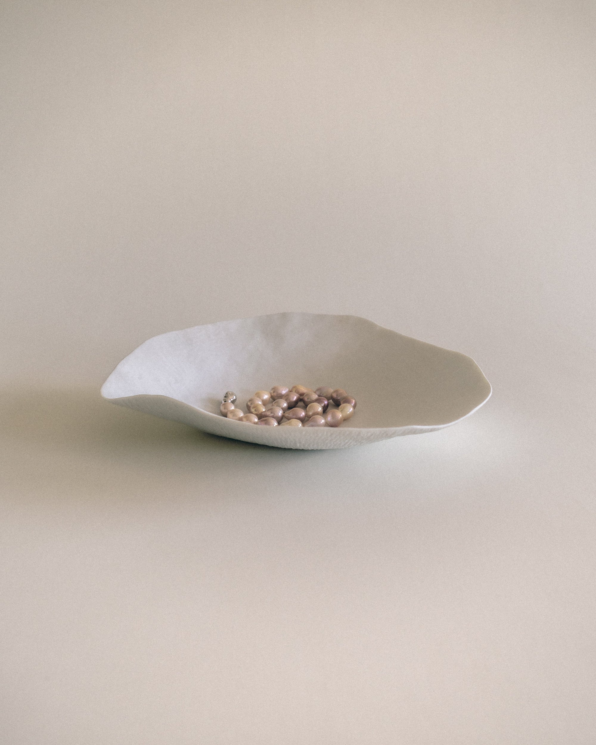 Set of 2 Large Dinner Plates / Indulge Nº6 / White Matte
