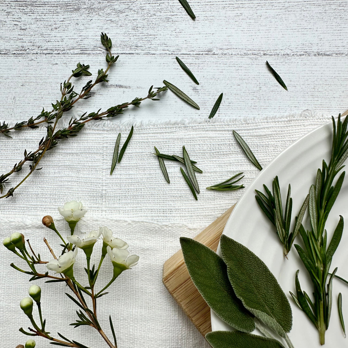 Ivory Coffee Cup Candle - Rosemary, Sage + Thyme