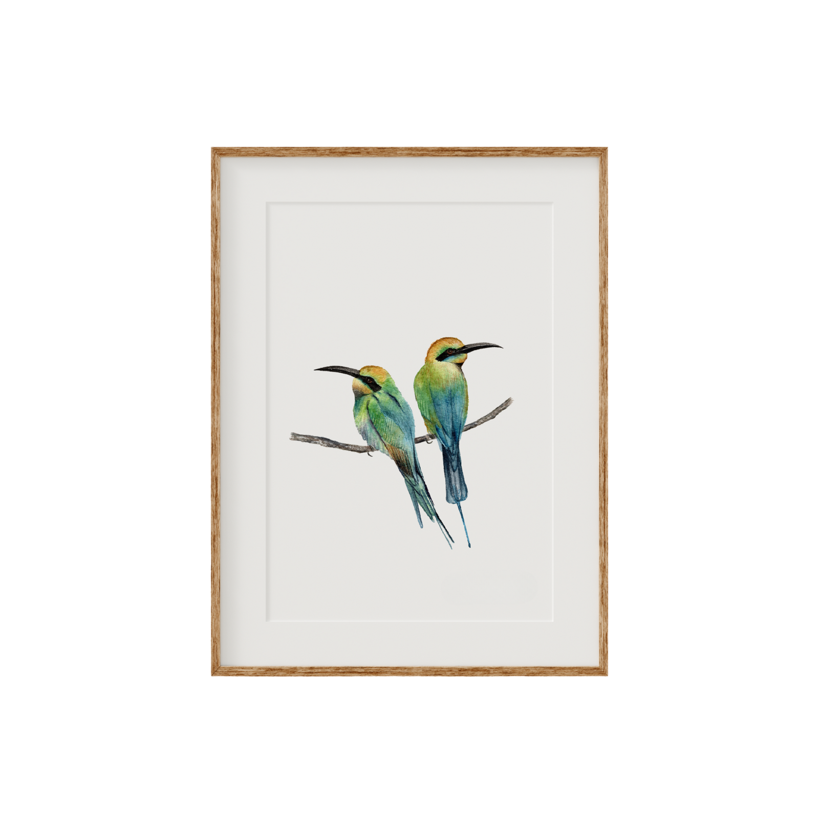 Rainbow Bee Eater Birds Fine Art Print