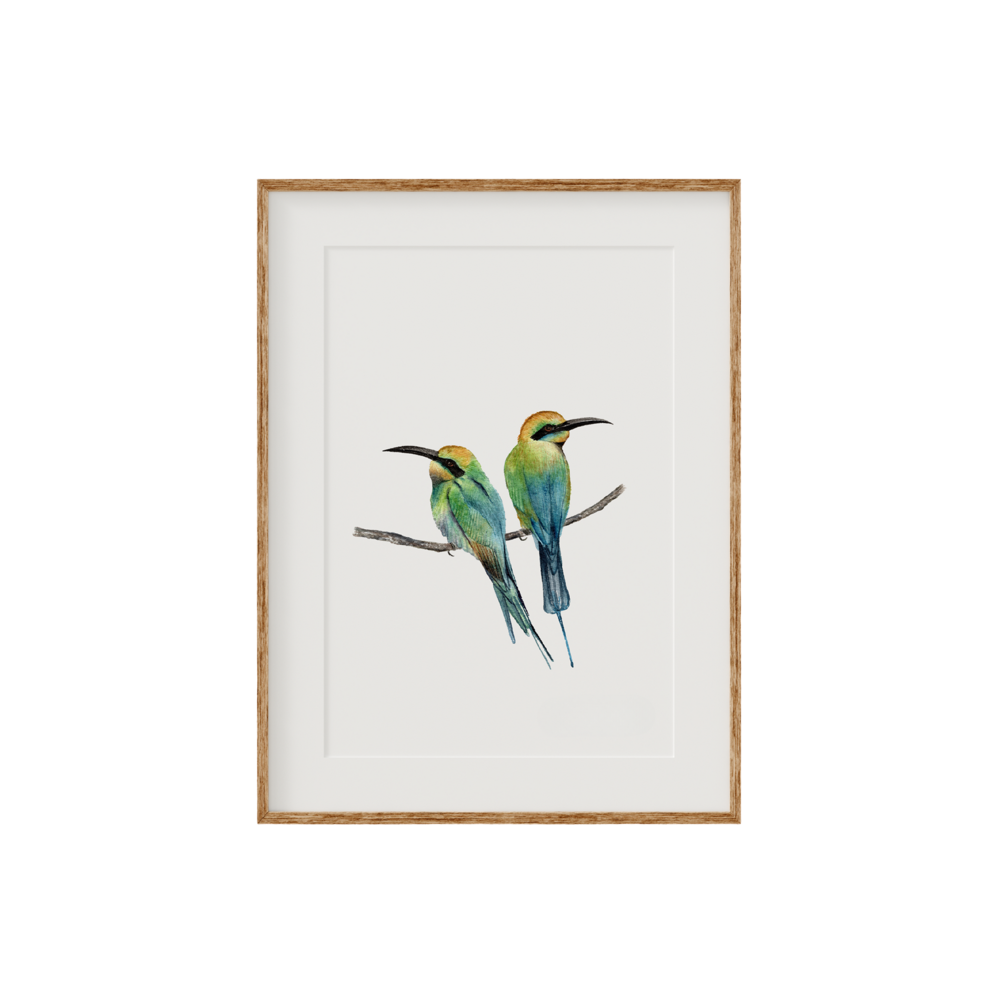Rainbow Bee Eater Birds Fine Art Print