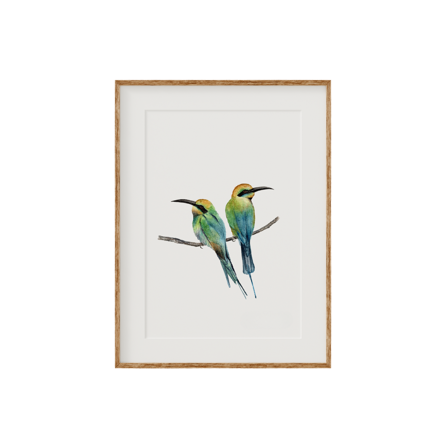 Rainbow Bee Eater Birds Fine Art Print