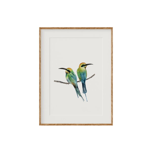 Rainbow Bee Eater Birds Fine Art Print