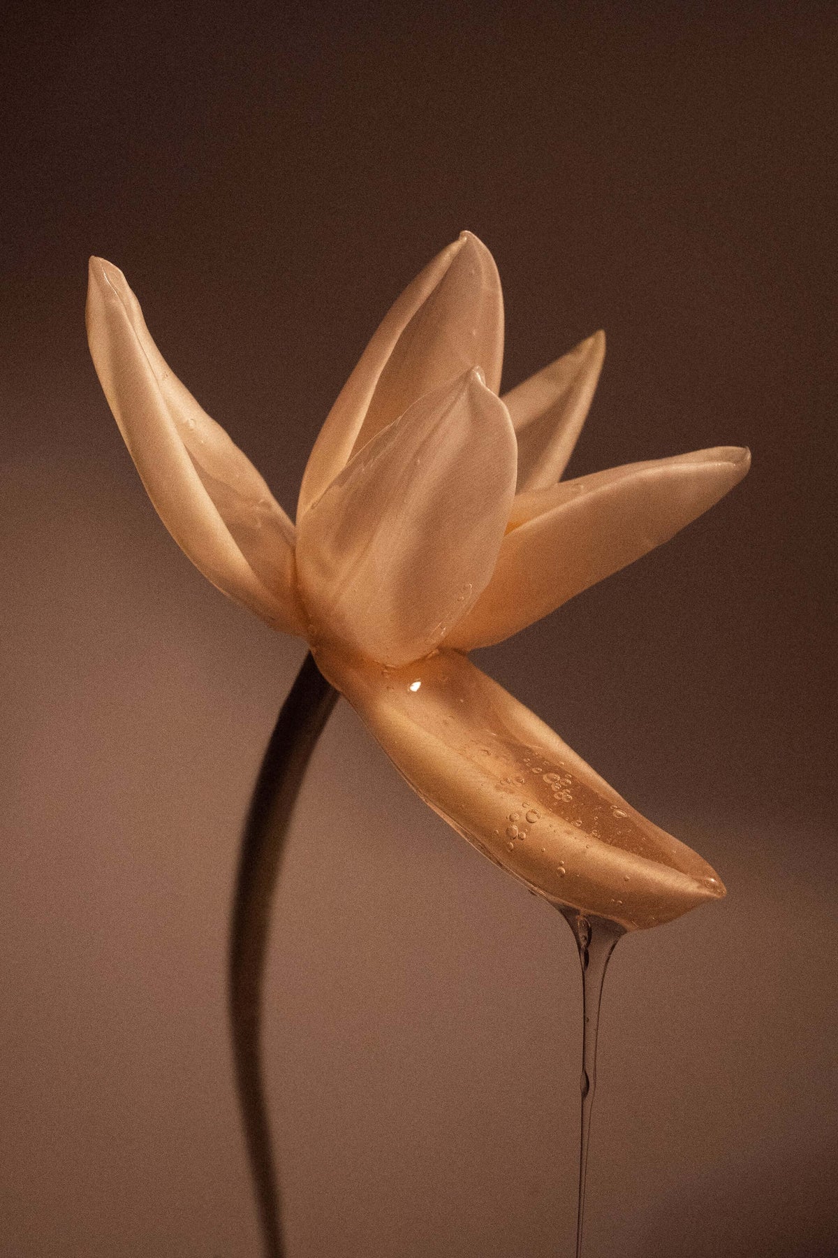 Cêo Natural Home Fragrance