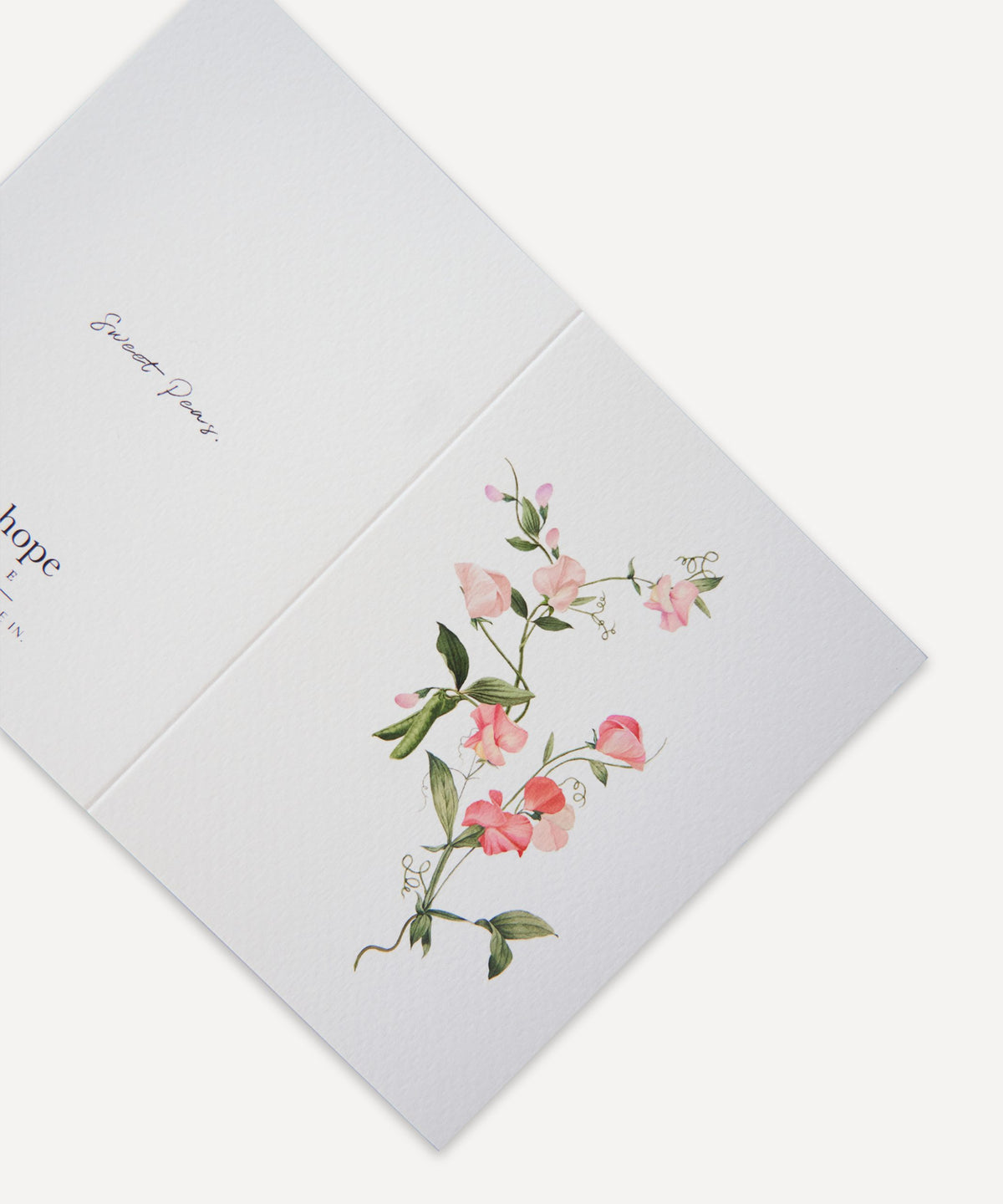 Sweet Pea Greetings Card