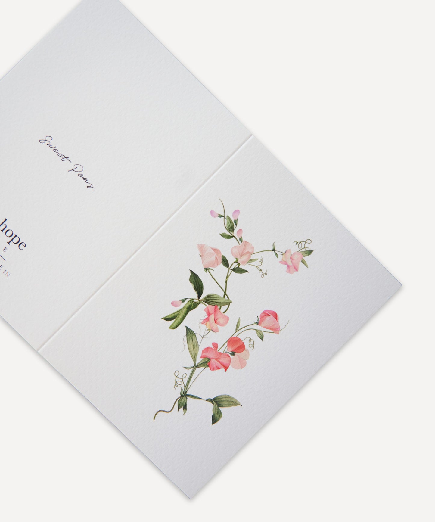 Sweet Pea Greetings Card