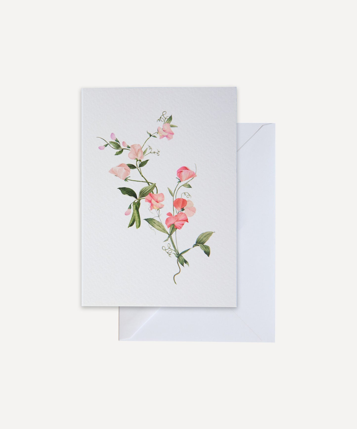 Sweet Pea Greetings Card