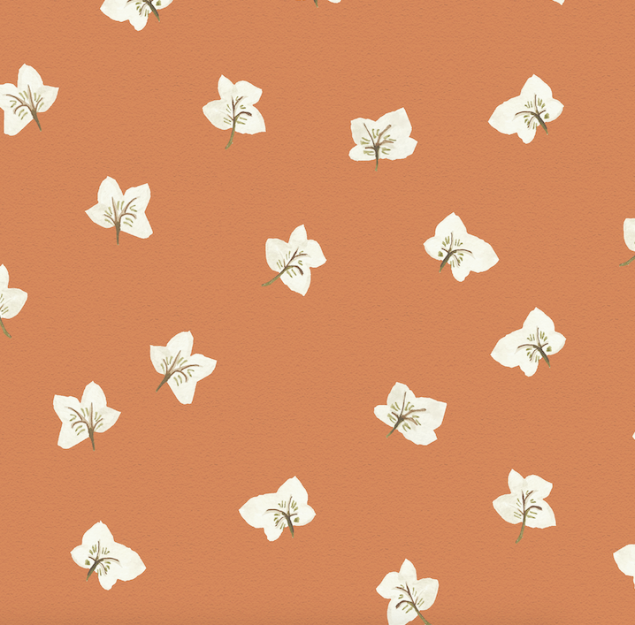 All Year Hellebores Wallpaper – SIENNA