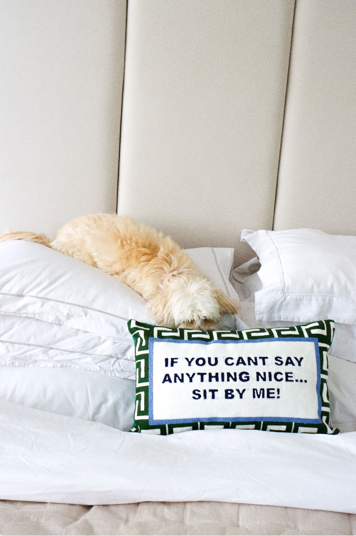 Funny Needlepoint Pillow – If You Can't Say Anything Nice… Sit By Me