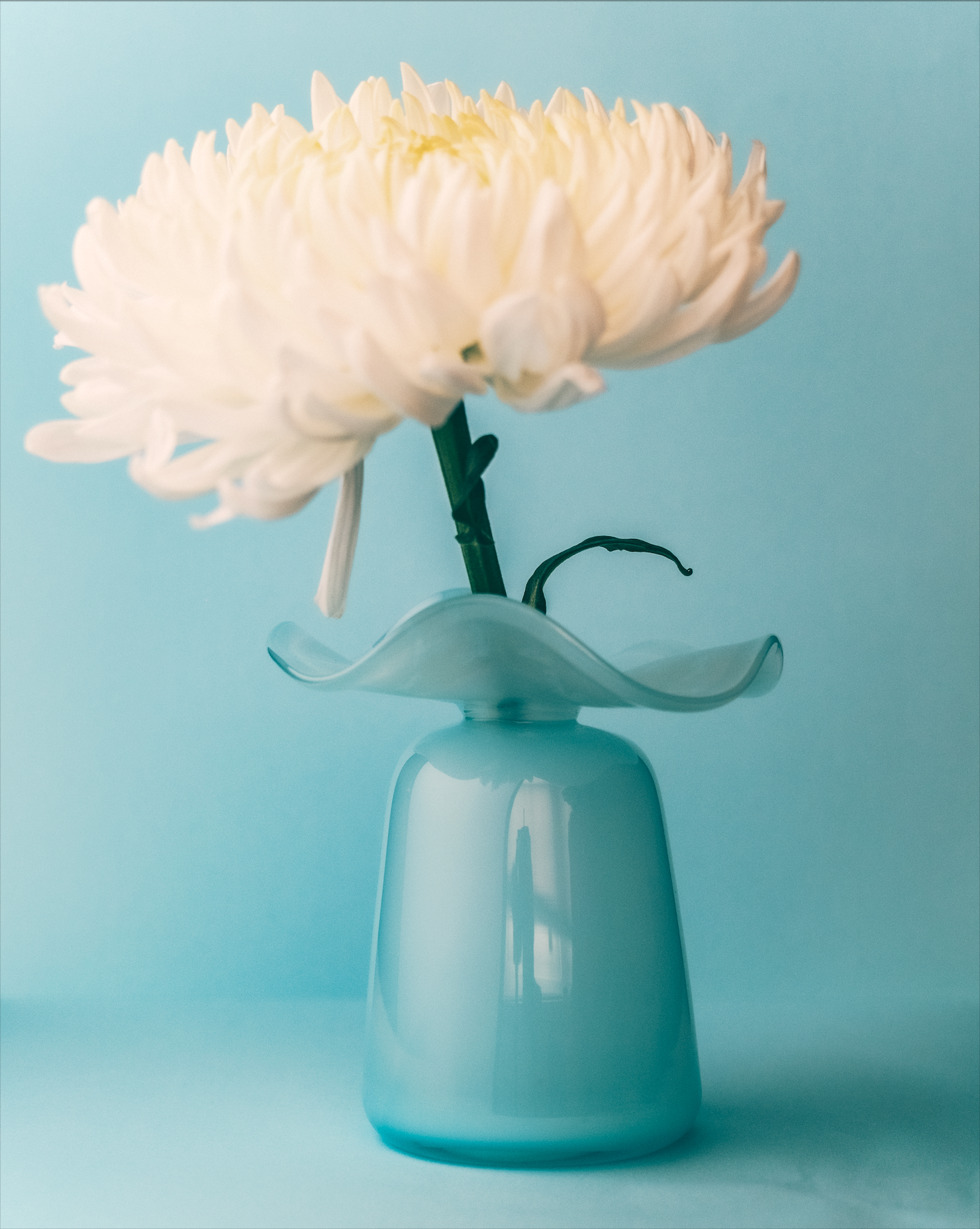 Marla Primrose Medium Handmade Glass Ruffle Bud Vase – Blue – detail close-up