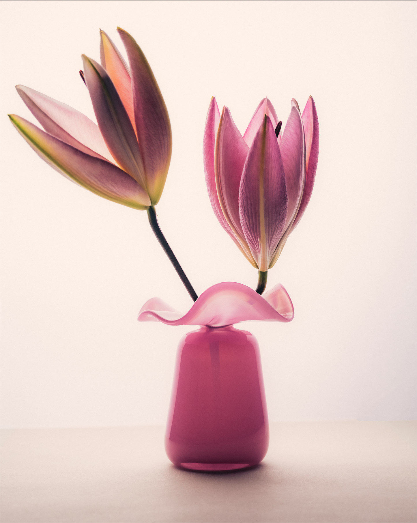Marla Primrose Medium Handmade Glass Ruffle Bud Vase – Pink – side view