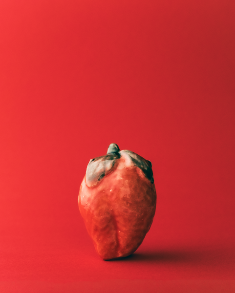 Marla Primrose Handmade Ceramic Glazed Strawberry – Red