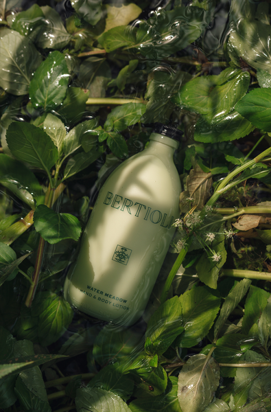 Water Meadow Hand and Body Lotion