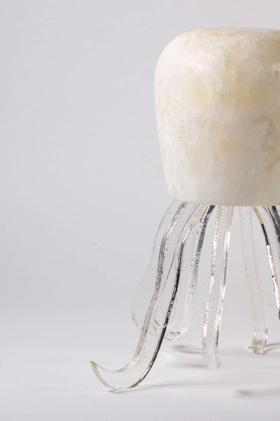 Seeba Bubbly | Tapered