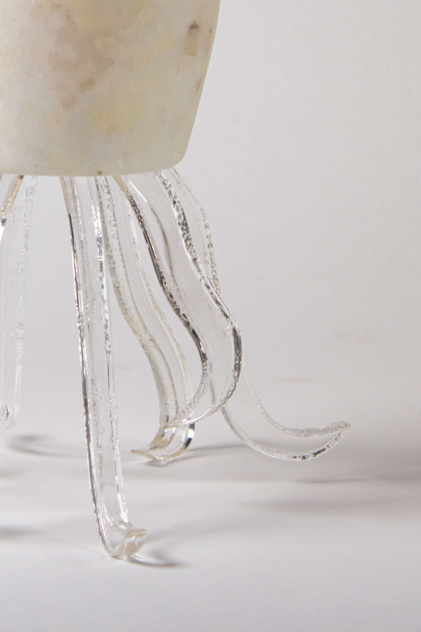 Seeba Bubbly | Tapered