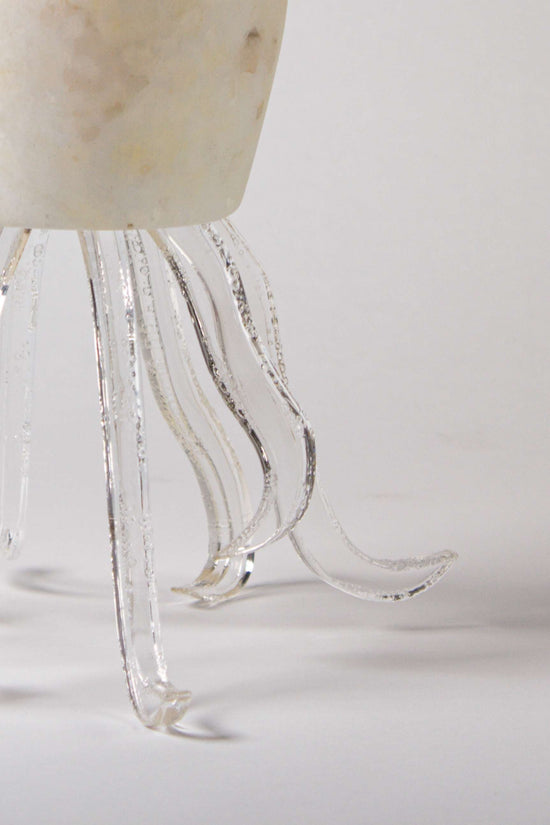 Seeba Bubbly | Tapered