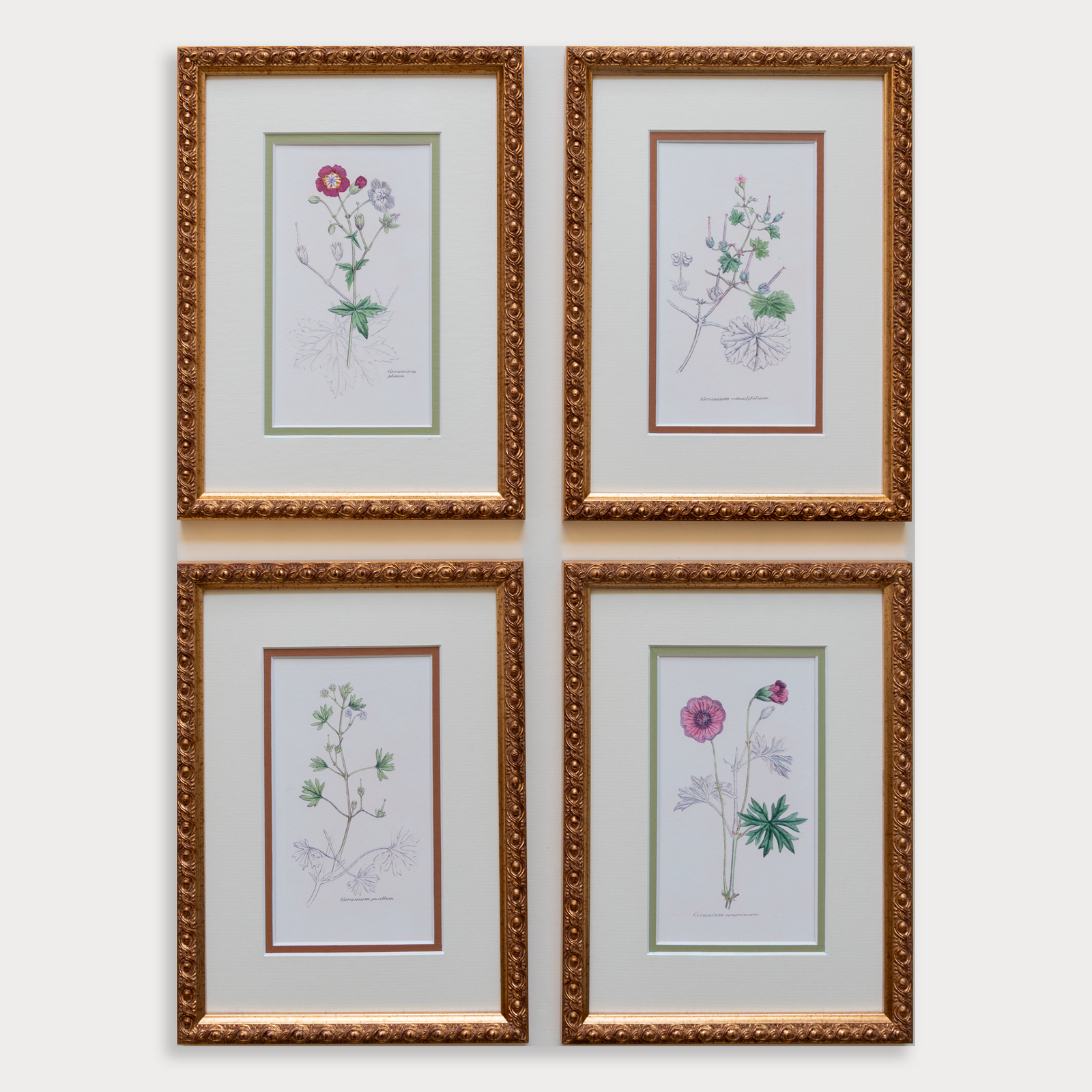 The Geraniums Artwork