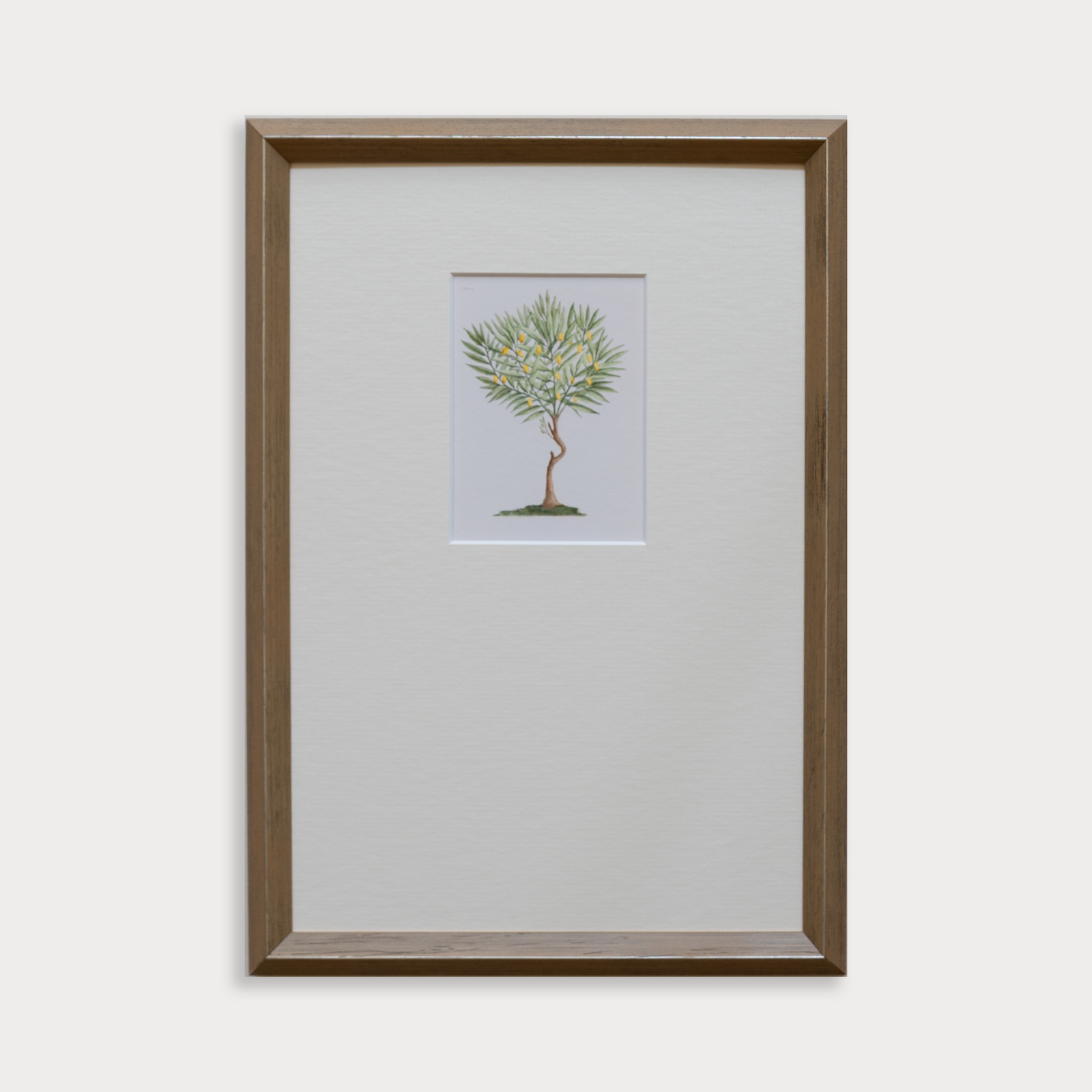 Framed artwork of a tree on a white background