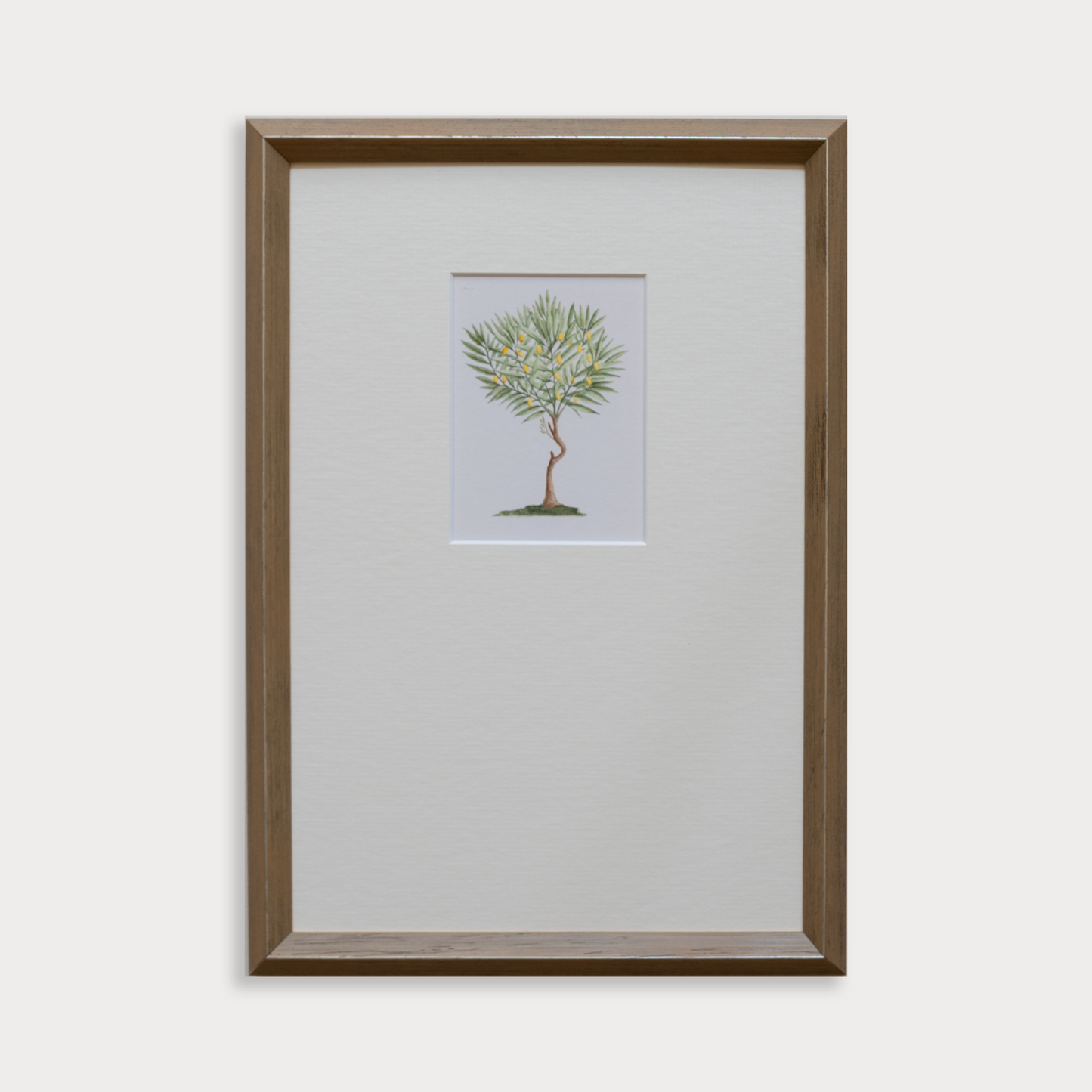 Framed artwork of a tree on a white background