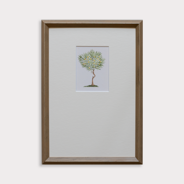 Framed artwork of a tree on a white background