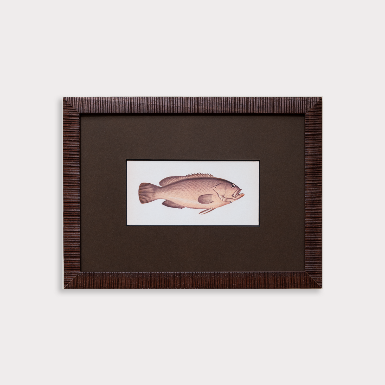 The School of Fish Artwork
