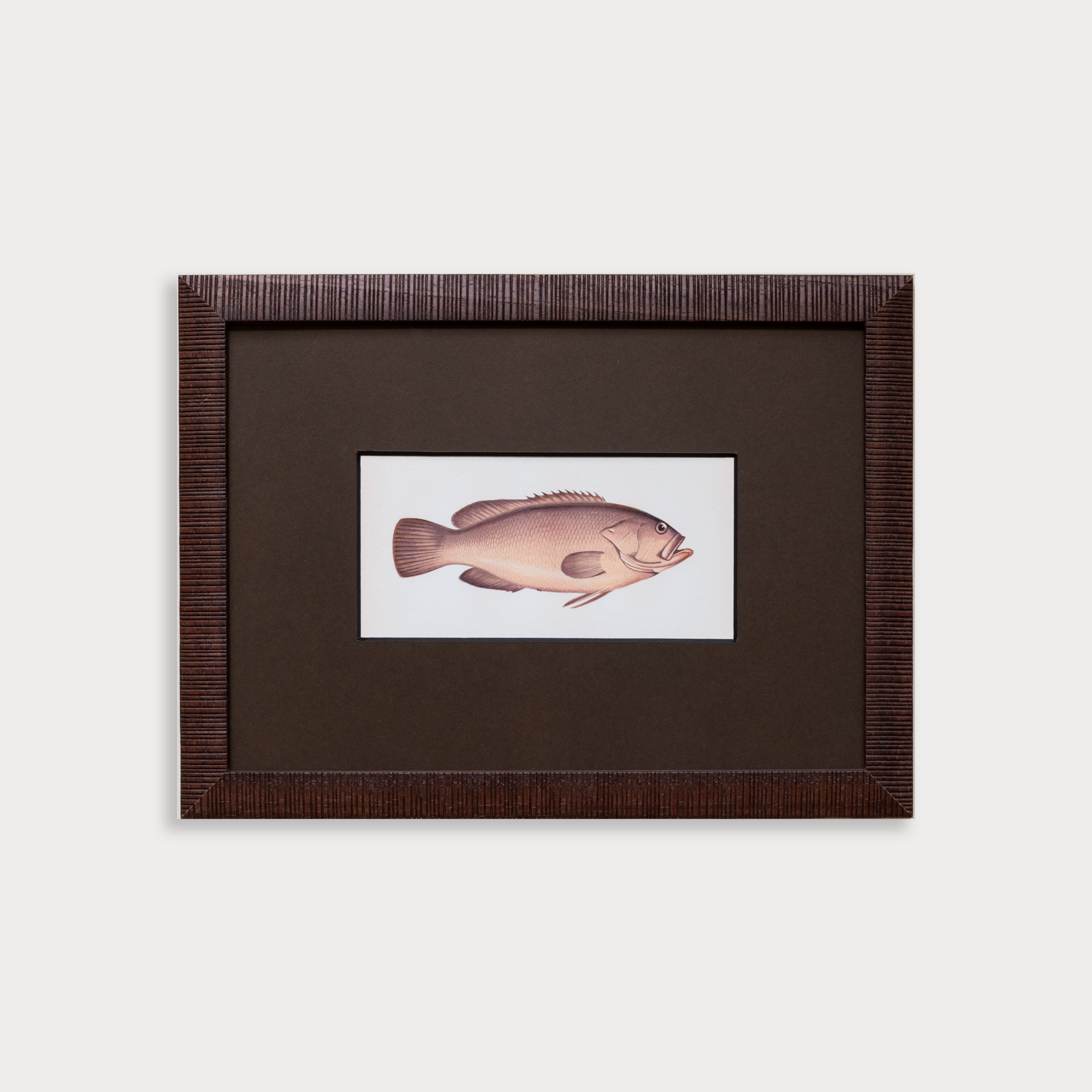The School of Fish Artwork